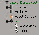 View of asset in explorer